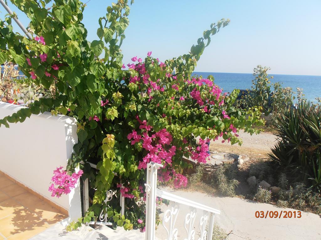 Iro Apartments Paralia Agias Foteinis Exteriér fotografie